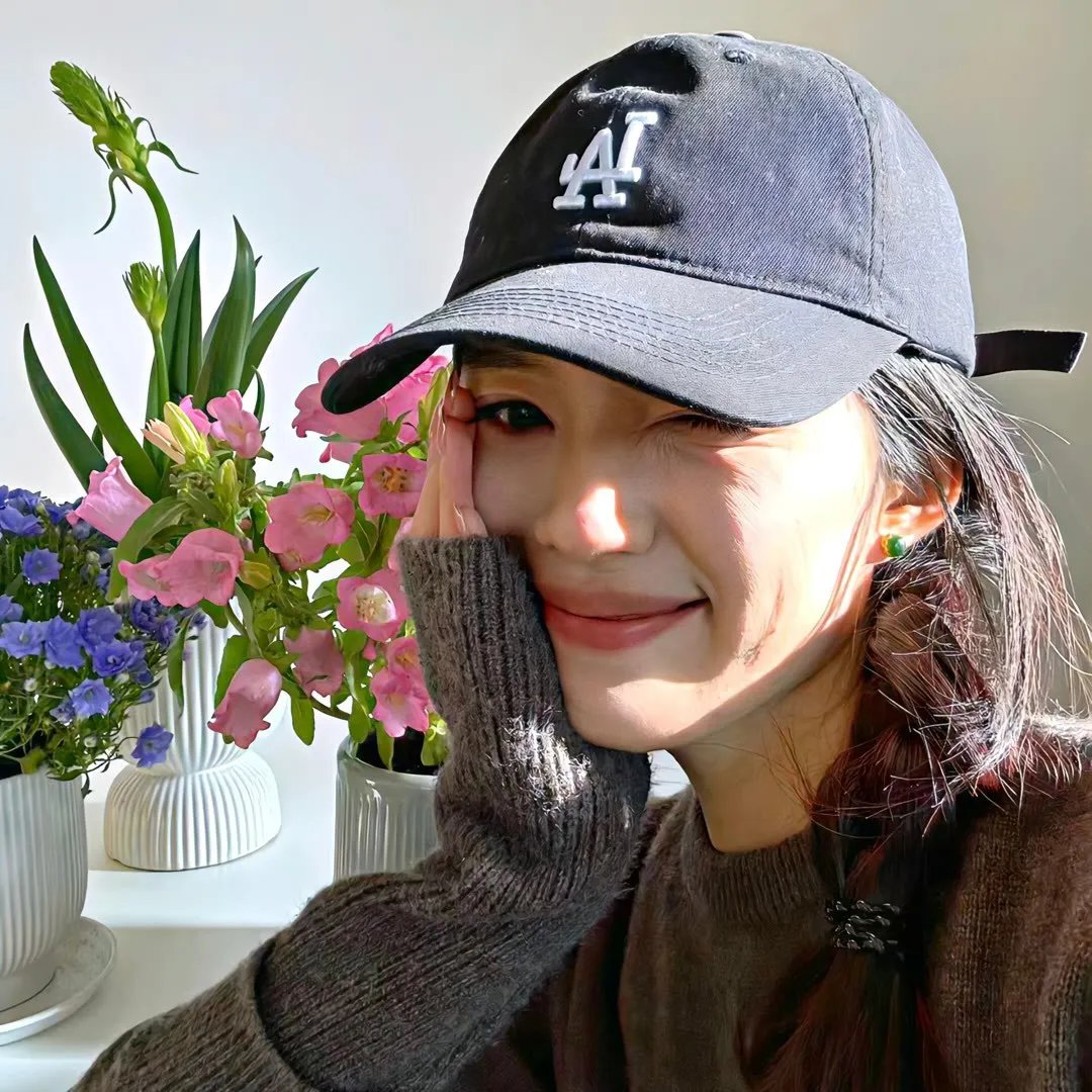 大贼与金丝猫