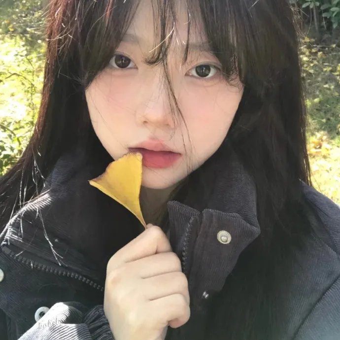波琳娜的魔法日记