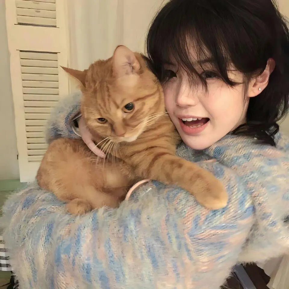 哈啦猛男秀